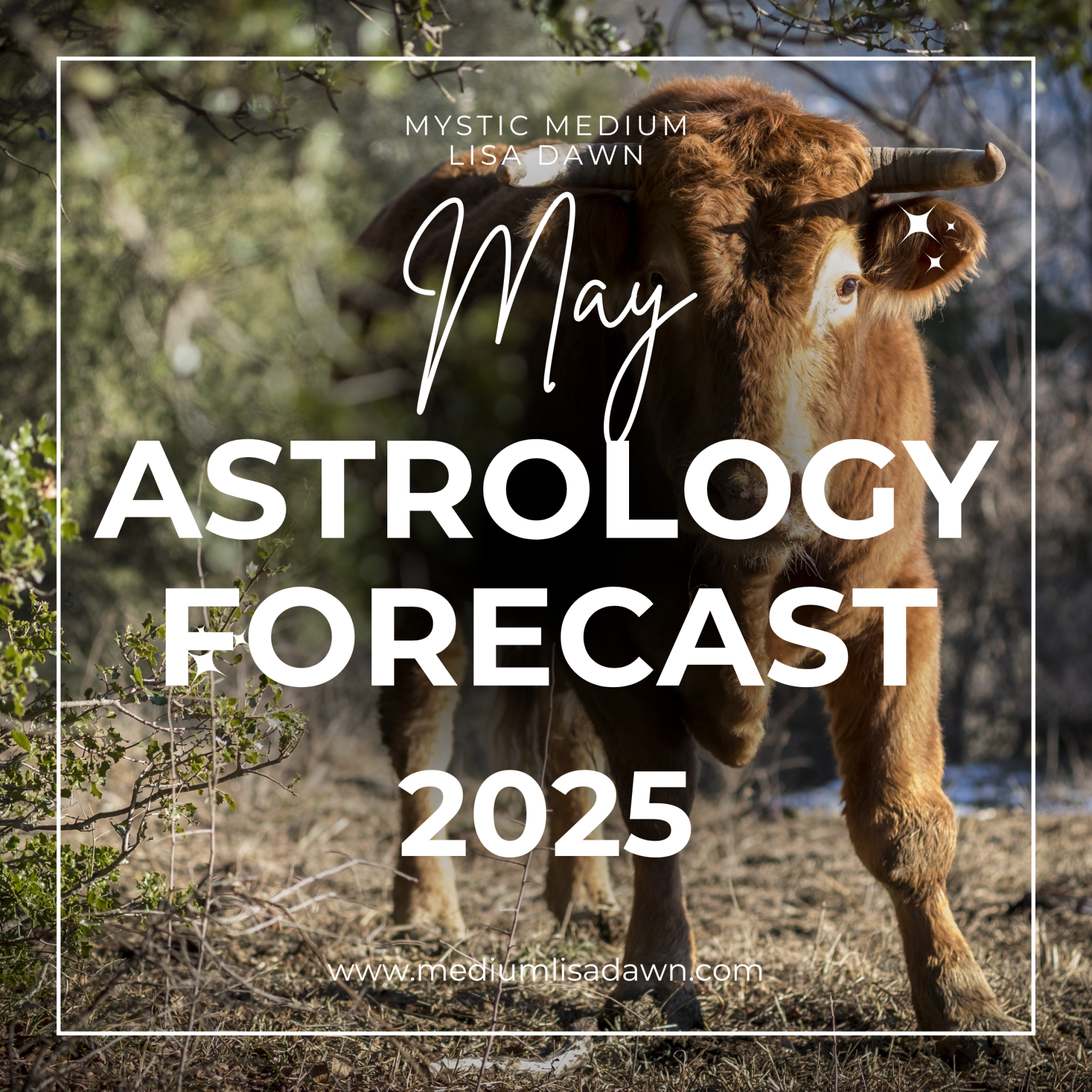 may astrology 2025 forecast by mystic medium lisa dawn